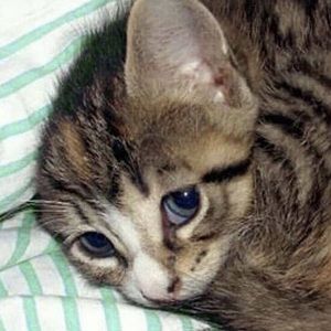 Meet your Posher, Catherine